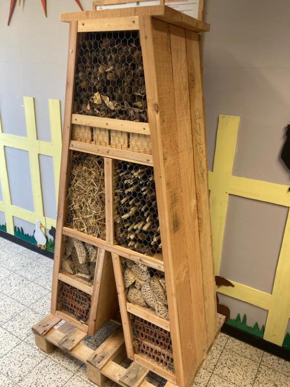 Ecole d'Enseignement Spécialisé Secondaire de Châtelet